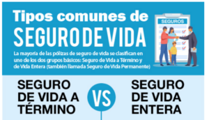 tipos de seguros de vida florida