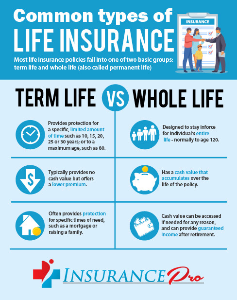 Common Types of life Insurance