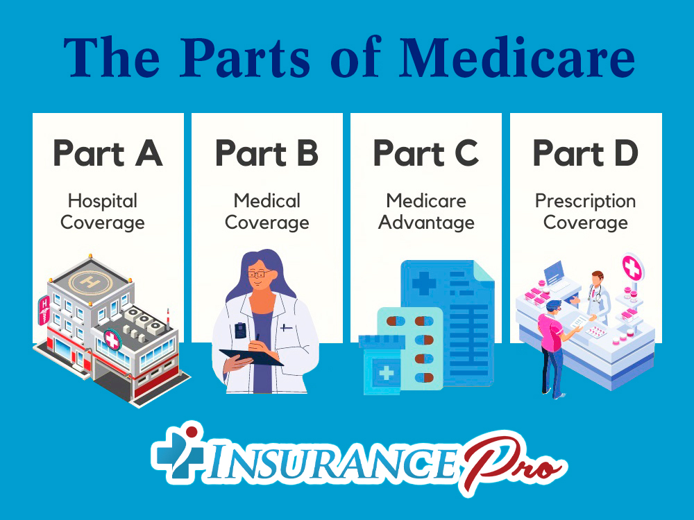 What Are the Parts of Medicare?