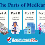 the parts of medicare