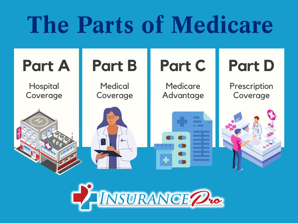 the parts of medicare